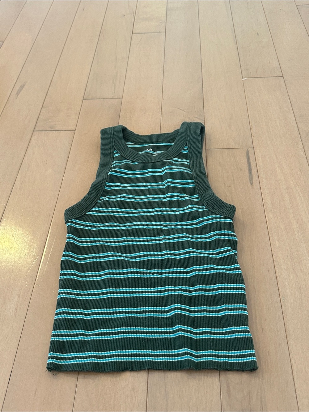Aerie Blue Green White Striped Tank Top
